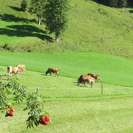 Manuela, Haus Rauris