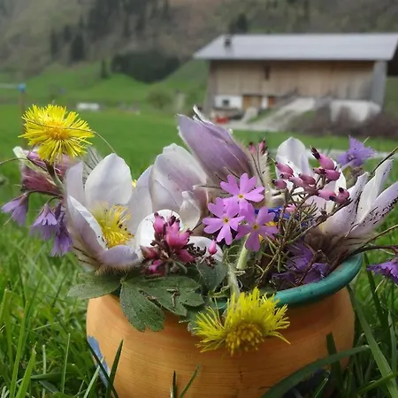 Manuela, Haus Apartamento Rauris