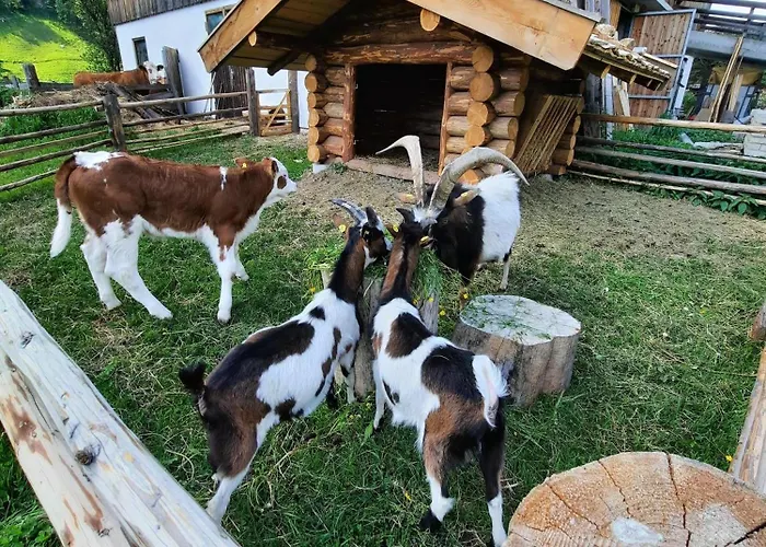 Lejlighed Manuela, Haus *