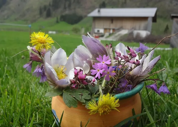 Manuela, Haus Lejlighed Rauris